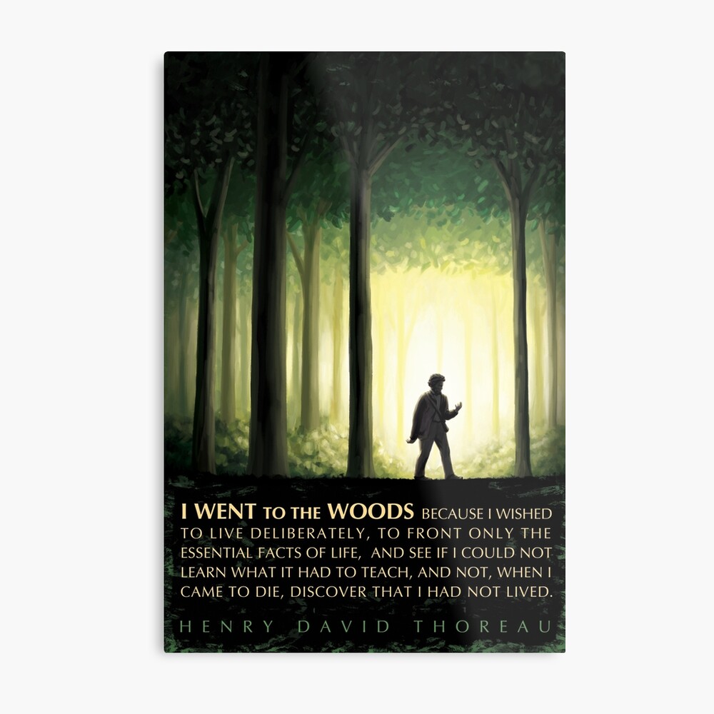 Download Zitat wald For Android Free Zitat Wald