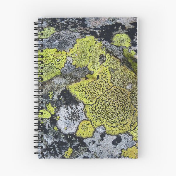 Item preview, Map on the Rock designed and sold by Kat Simmons.