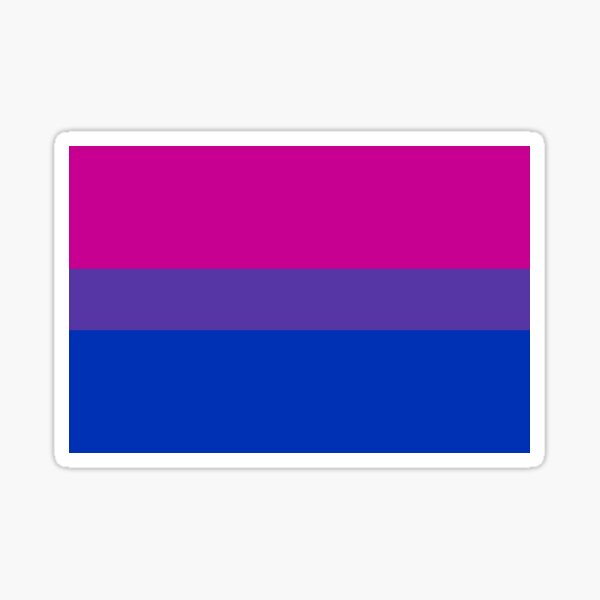 Bi Pride Flag Bisexual Sticker Sticker