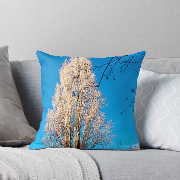 Item preview, Plant More Trees . designed and sold by Angela Haig-Harrison.