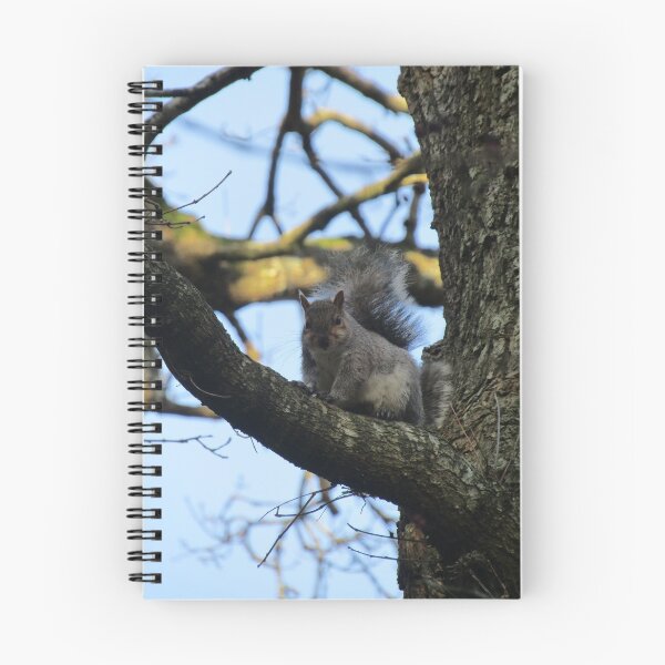 Item preview, grey squirrel designed and sold by joshuarainbird.