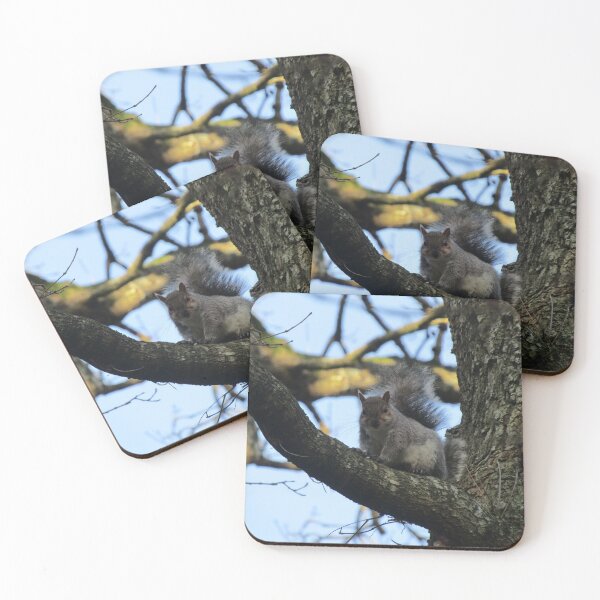 Item preview, grey squirrel designed and sold by joshuarainbird.