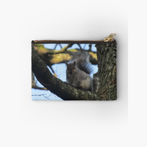 Item preview, grey squirrel designed and sold by joshuarainbird.