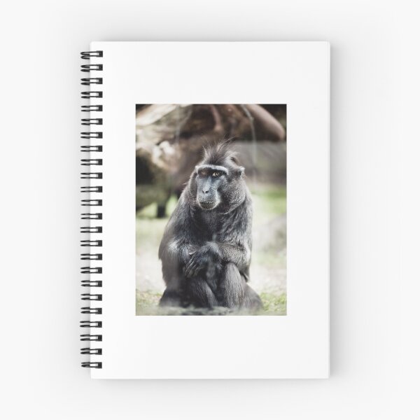 Item preview, Black macaque monkey sitting designed and sold by Arletta Cwalina.