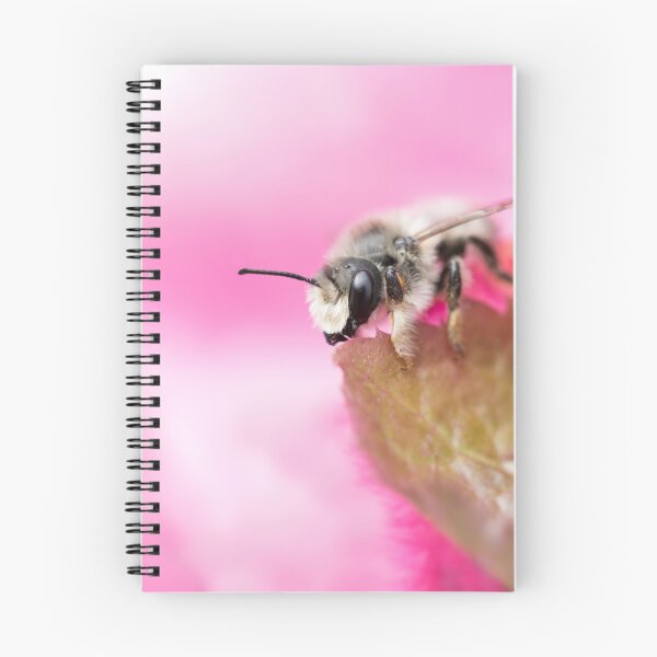 Item preview, Megachile designed and sold by AnnoraBee.