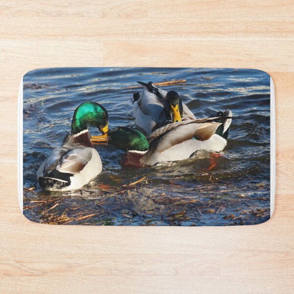 Item preview, Clashing mallards II designed and sold by GreyFeatherPhot.