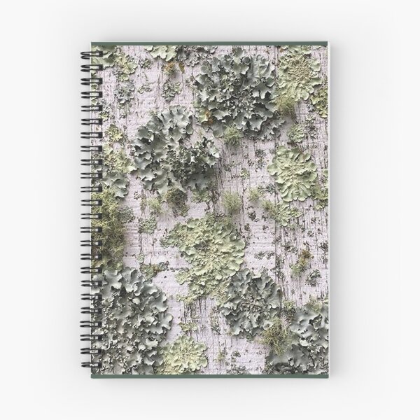 Item preview, Lichen designed and sold by -PineconeLife-.