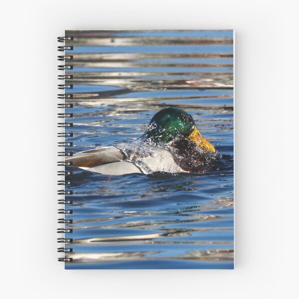 Item preview, Taking a dip designed and sold by GreyFeatherPhot.