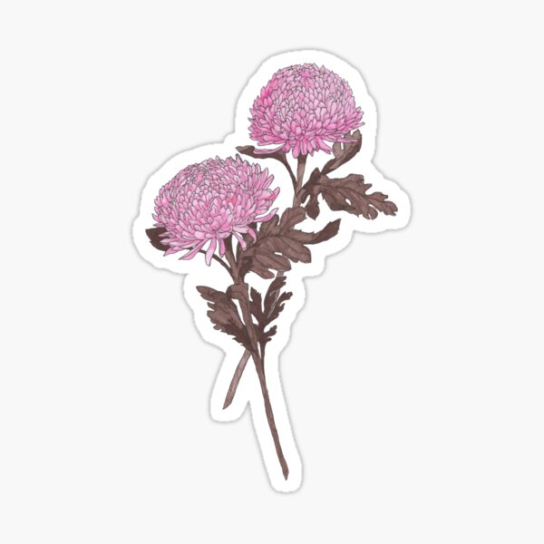 flowers and ribbons _ pink Sticker