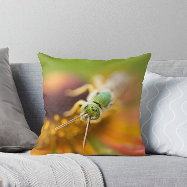 Item preview, Agapostemon designed and sold by AnnoraBee.