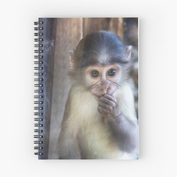 Item preview, Macaca mulatta designed and sold by Mythos57.