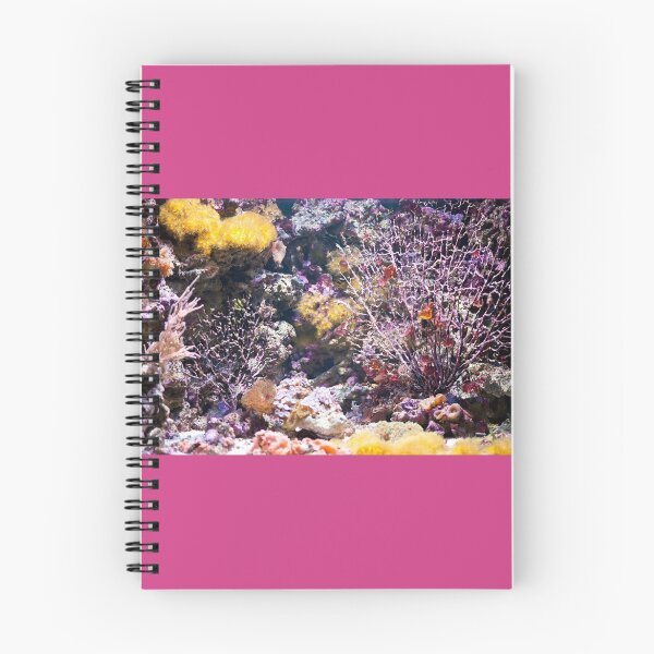 Aperçu de l'œuvre Coral reef aquarium créée et vendue par Arletta Cwalina.