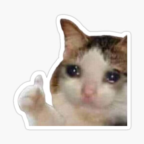 Featured image of post Llorando Stickers Gatos Memes La aplicaci n contiene los cl sicos stickers de gatos llorando y tristes