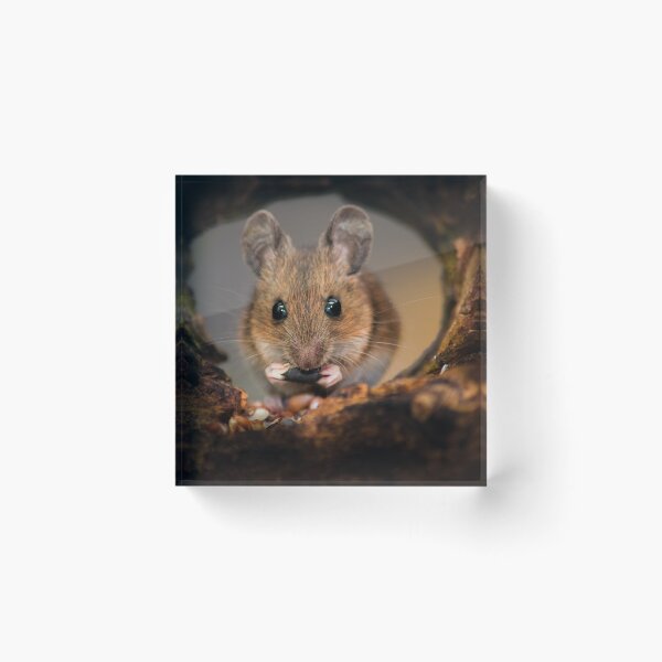 Item preview, mouse designed and sold by Ivan Jazbinszky.