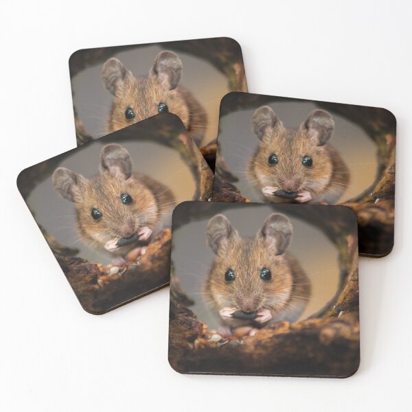 Item preview, mouse designed and sold by Ivan Jazbinszky.