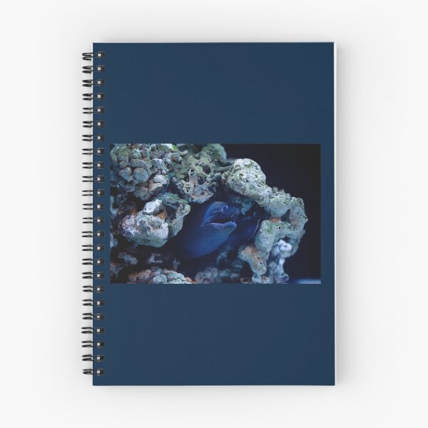 Item preview, Moray eel or Muraenidae fish designed and sold by Arletta Cwalina.