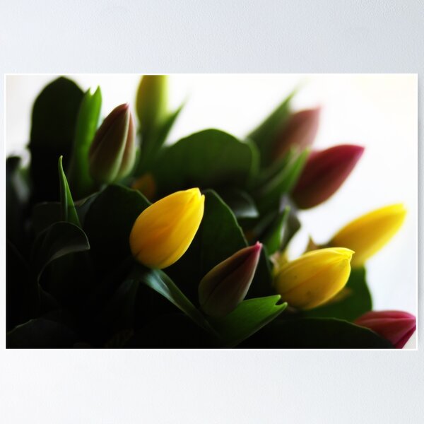 Yellow and Red Flowers Poster