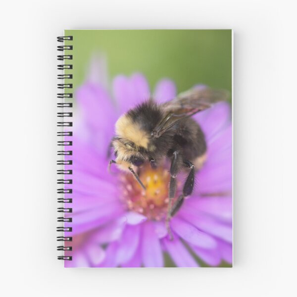 Item preview, Bumblebee designed and sold by AnnoraBee.