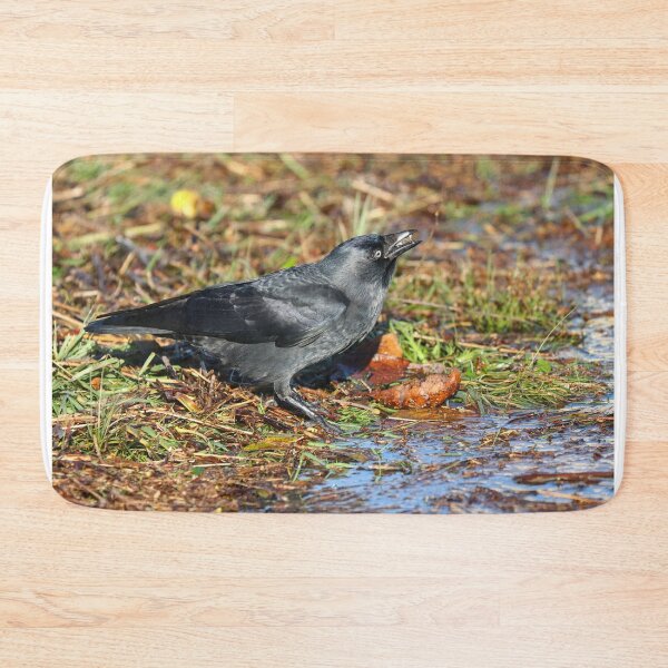 Item preview, Thirsty jackdaw designed and sold by GreyFeatherPhot.