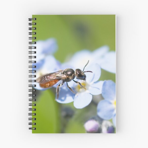 Item preview, Halictidae Bee on Forget-Me-Nots designed and sold by AnnoraBee.