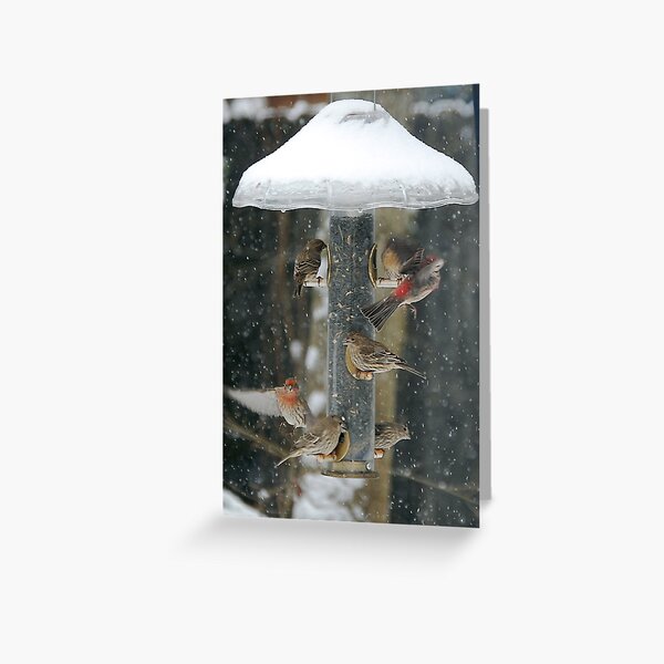 "You are cleared for landing" Greeting Card