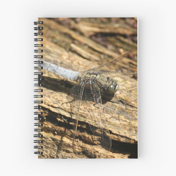 Item preview, Dragonfly designed and sold by Dave646.