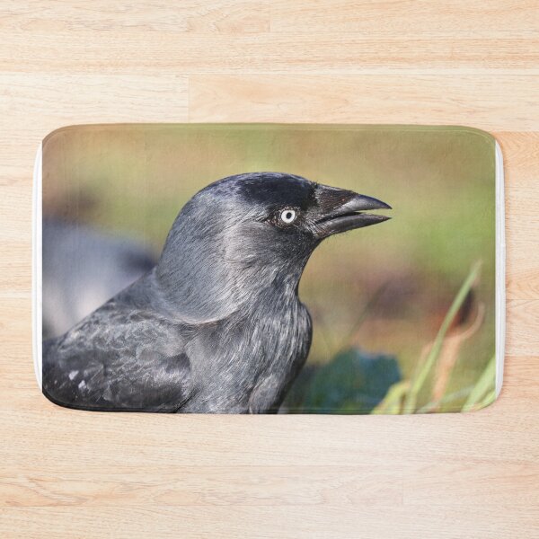 Item preview, Jackdaw portrait designed and sold by GreyFeatherPhot.