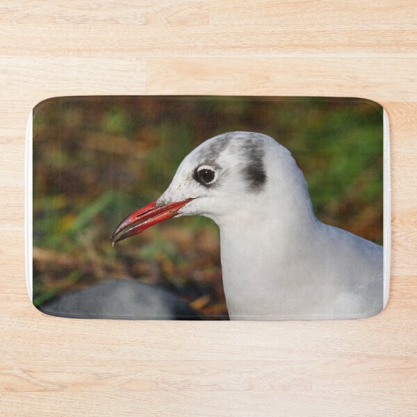 Item preview, Black headed gull in winter plumage designed and sold by GreyFeatherPhot.