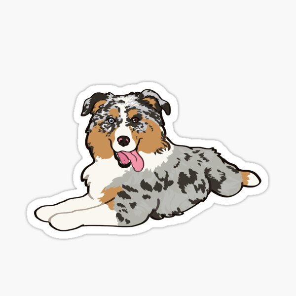 Item preview, Blue Merle Aussie Laying down / blue Merle Australian Shepherd Dog designed and sold by Ivy Fox Illustration.