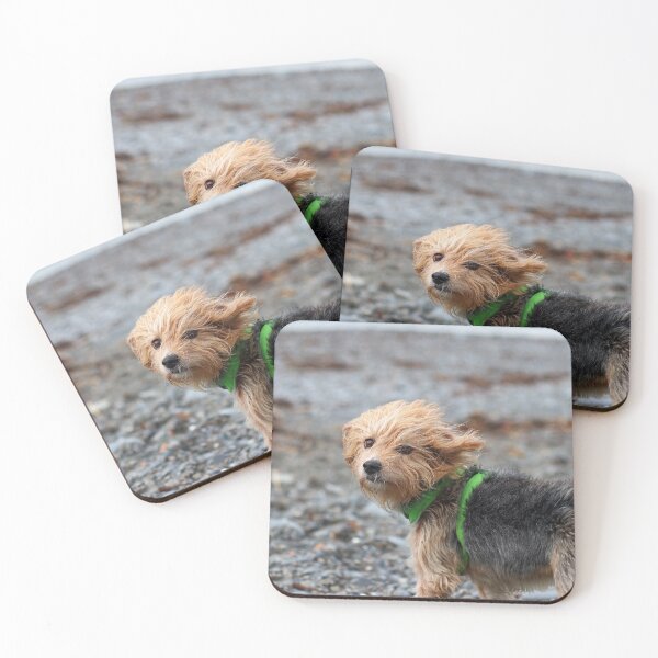 Item preview, Windswept designed and sold by GreyFeatherPhot.