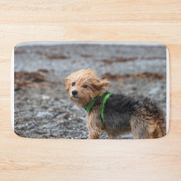 Item preview, Windswept designed and sold by GreyFeatherPhot.