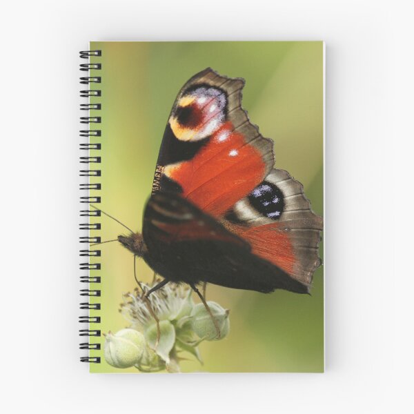 Artikelvorschau, Pfau-Schmetterling entworfen und verkauft von Dave646.