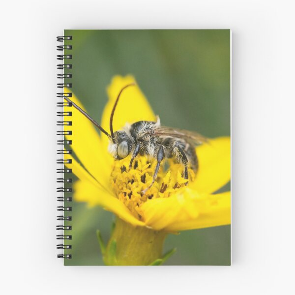 Item preview, Eucerini Bee on Bidens flower designed and sold by AnnoraBee.