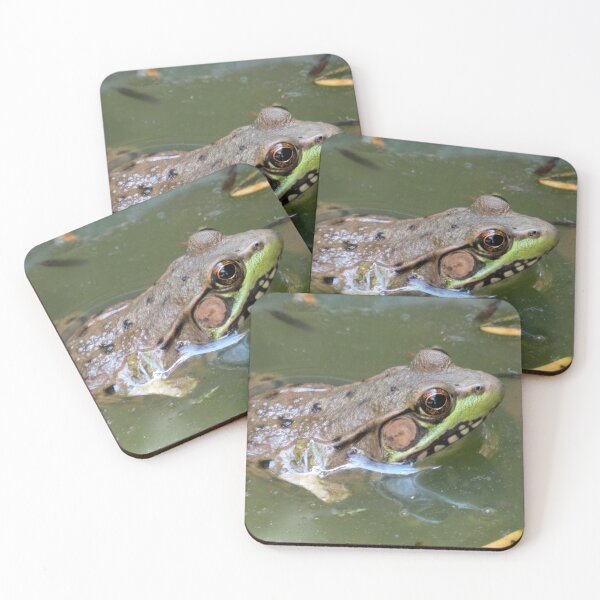 Item preview, Frog in the Water designed and sold by Kimmary.