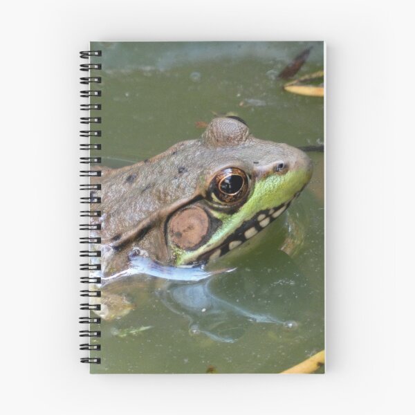 Item preview, Frog in the Water designed and sold by Kimmary.
