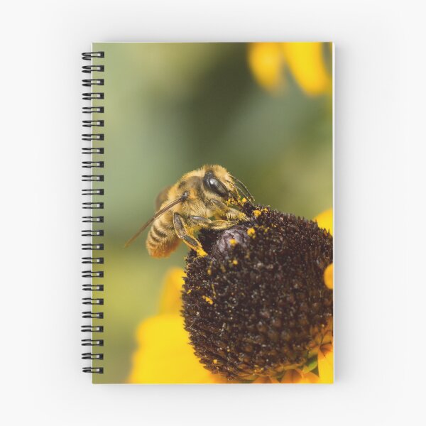 Item preview, Megachile Bee on Black-eyed Susan designed and sold by AnnoraBee.