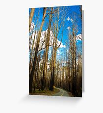 Bushfires Aftermath Greeting Card