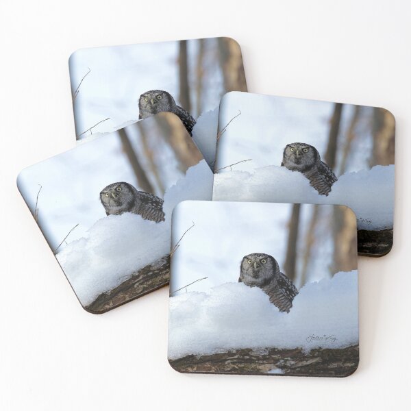Item preview, Northern Hawk Owl plays in the snow (video in description) designed and sold by locustgirl.