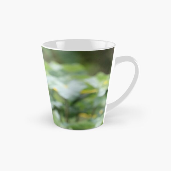 Item preview, Quetzal designed and sold by mlorenz.