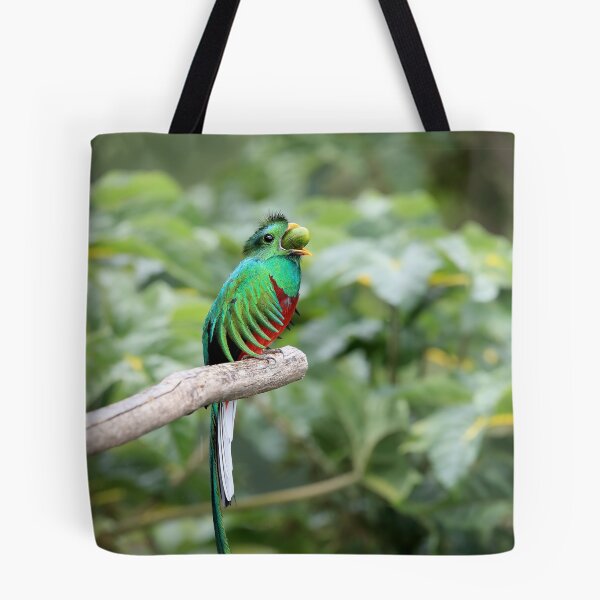 Item preview, Quetzal designed and sold by mlorenz.