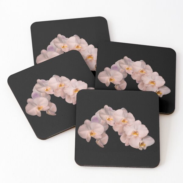 Item preview, White orchid designed and sold by Zina Stromberg.