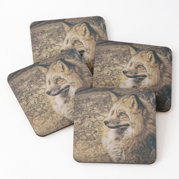 Item preview, Fox designed and sold by TomCPhoto.