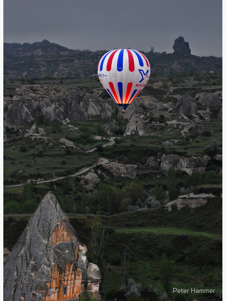 Flight over the Valley by PeterH