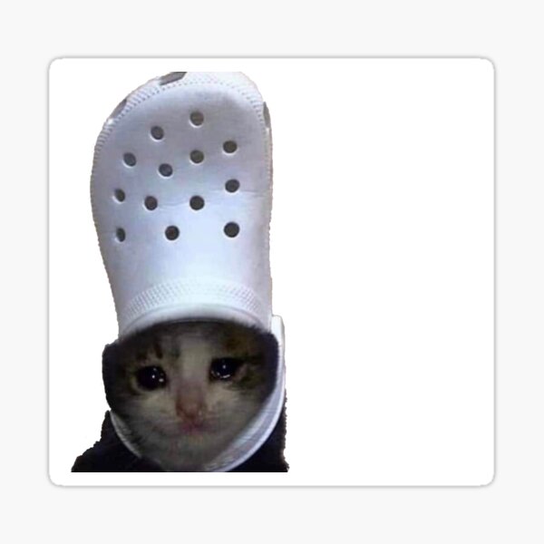 crying cat with a croc on its head 