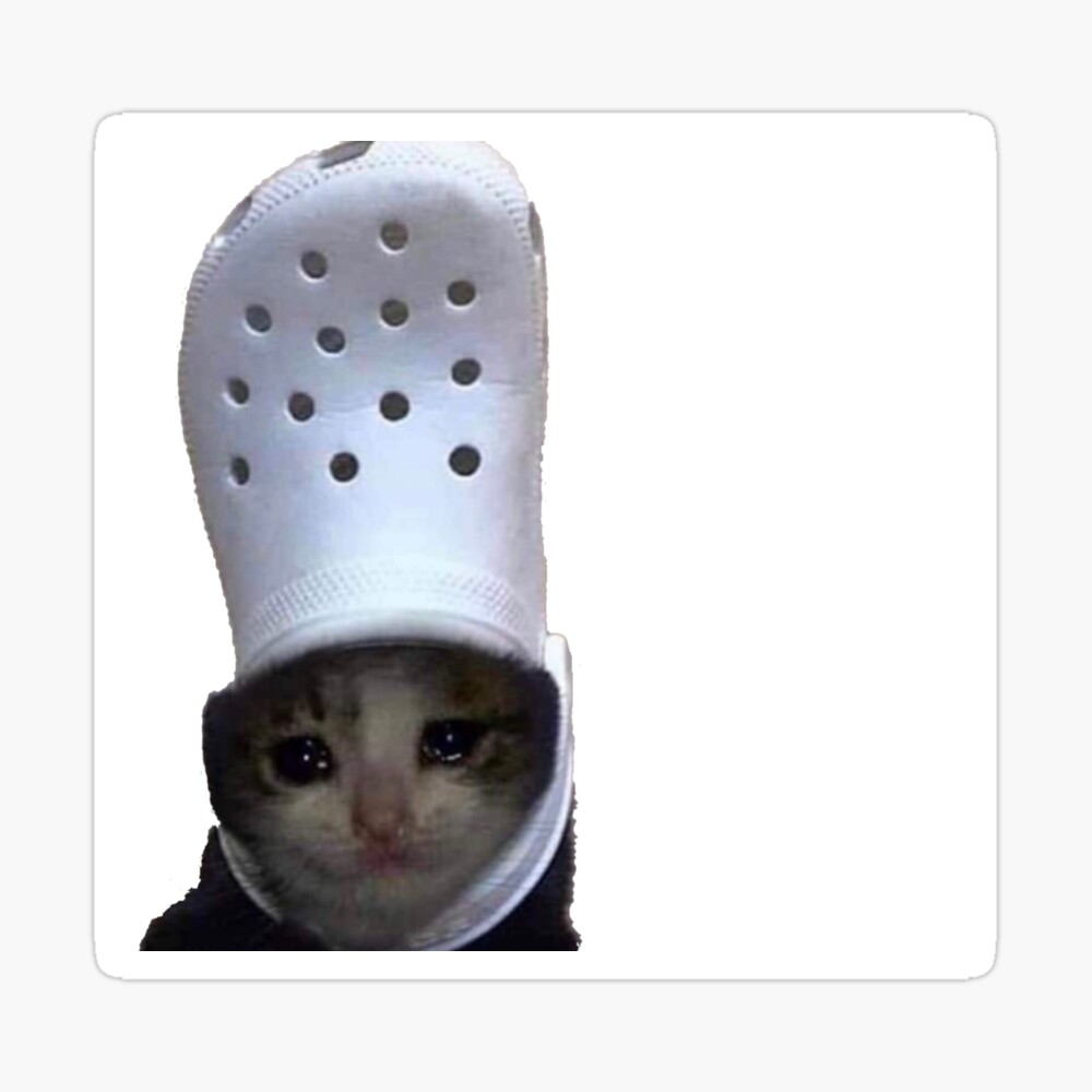 Cats-on-Crocs, Ivory