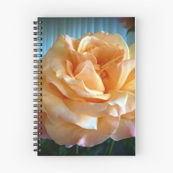 Item preview, *Just Joey Rose from my Garden Spring 2019* designed and sold by EdsMum.