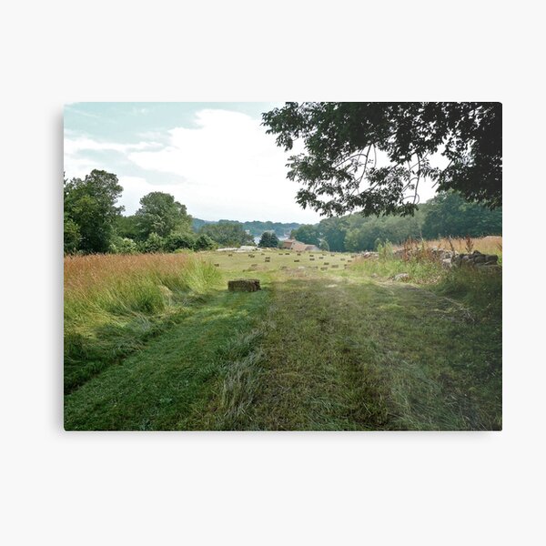 Road to the Hayfield - CT Series Metal Print