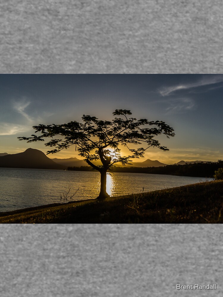 The Tree by BrentJR