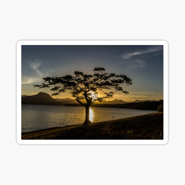 The Tree Sticker