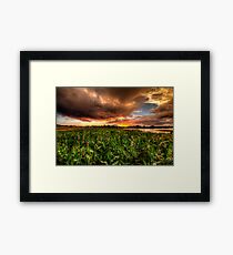 Foliage Enjoys A Sunset Framed Print